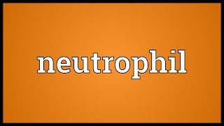 Neutrophil Meaning [upl. by Lewert]