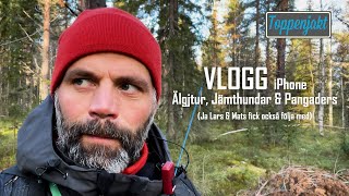 VLOGG Jämthundar amp Älgtjuren [upl. by Nnaeirelav595]