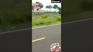 hiburan shortsvideo komedi [upl. by Hurlee]