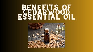 10 Benefits of Cedarwood Essential Oil [upl. by Rachael709]