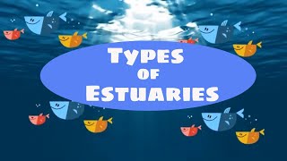 Types of estuaries [upl. by Ahsaten]