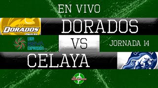 EN VIVO  DORADOS VS CELAYA  JORNADA 14  LIGA DE EXPANSIÓN MX  APERTURA 2023 [upl. by Jael370]