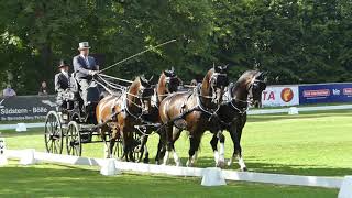 Chardon Ijsbrand NED TEAM FEI EU CH H4 CHI Donaueschingen Dressage 16 08 2019 [upl. by Jorry414]