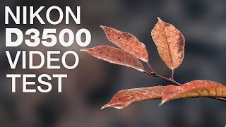 Nikon D3500 Video Test [upl. by Rima506]