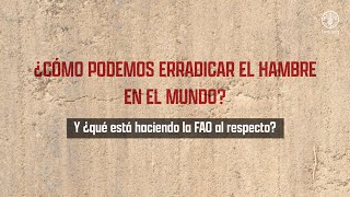 ¿Qué es la FAO [upl. by Laamak]