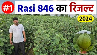 नरमा Rasi 846 का रिजल्ट 2024 में  पहली वीडियो  Kapas Ki Kheti  Dear Kisan [upl. by Herrod]