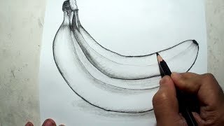 How to Draw Bananas  Pencil Drawing and Shading [upl. by Esoryram592]