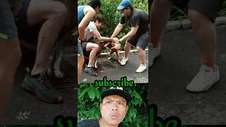 Pitbull Vs Pitbull fight WHATS TILL THE ENDpitbull pitbulldog pitbulls [upl. by Galitea]