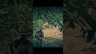 Hunting Legendary Tatanka Bison rdr2 rdr2online rdr2gameplay arthurmorgan johnmarston rdr2fans [upl. by Mercy]