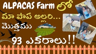 Alpacas Farm Tour II పిల్లల తో వెళ్ళవలసిన చోటు II Family Trip Fathers day special II Kids activities [upl. by Mercola]