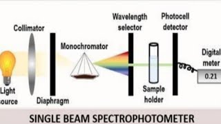 Spectrophotometer  Single beam spectrophotometer [upl. by Mariam570]