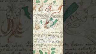 El Misterioso Manuscrito Voynich [upl. by Llehsor]