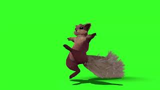 Animal ardilla bailando green screen 4k [upl. by Kenna927]