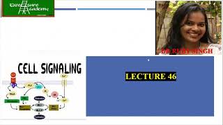 Cell Signaling Lecture46 Cell Biology Mode of Signaling Tyrosine Kinase receptor MAPK pathway [upl. by Niroht695]