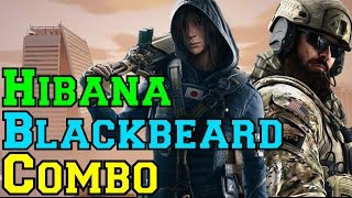 Hibana and Blackbeard Combo  Rainbow Six Siege [upl. by Eradis722]