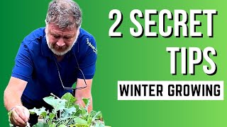 Tips For Planting Out Winter Brassicas  How To Grow Veg Over Winter [upl. by Miranda677]