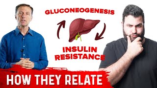 Insulin Resistance and Gluconeogenesis [upl. by Drareg]