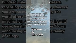 Wild Geese by Mary Oliver [upl. by Carlye]