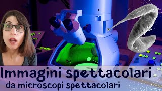 Microscopi elettronici e non solo immagini microscopiche spettacolari [upl. by Anaidni]