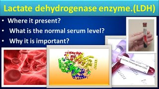 Lactate Dehydrogenase biochemistry LDHmedilabacademyCBC [upl. by Terrab3]