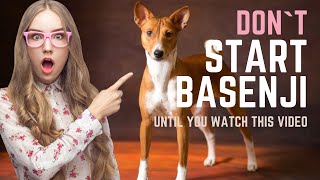 BASENJI  ALL TRUTH ABOUT BASENJI DOG BREED  WHY YOU CAN NOT START DASENJI [upl. by Nana]