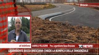 Legambiente Bassa Bresciana chiede la bonifica della tangenziale [upl. by Trubow]