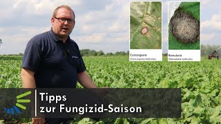 Tipps zur Fungizid Saison [upl. by Atineb]