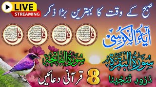 Morning Wazifa  4 Quls । ayatul kursi  Surah Fatiha  Darood Tanjeena [upl. by Odnomor]