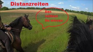 Abenteuer Distanzreiten  was muss ich wissen Reiten Endurance Riding  wir testen eine Strecke [upl. by Atirehs]