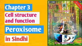 peroxisome class 11  peroxisomes chapter 3 [upl. by Lashoh262]