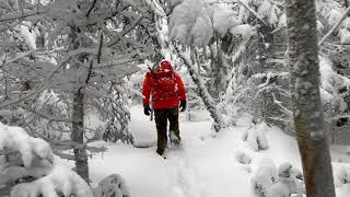 Hiking Adirondacks In Snowstorm [upl. by Aihsek546]