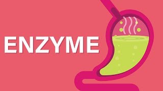 What are Enzymes [upl. by Patrizius]