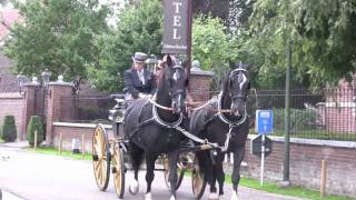 Historische Koetsentocht in Maaseik [upl. by Eedyak]