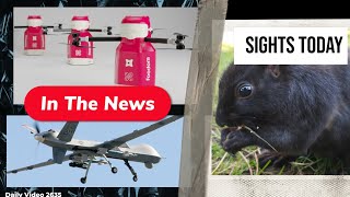 Foodora Air Drone Delivery Reaper Drone GPS Jamming Stanley Park Tree Cutting Controversy [upl. by Jutta18]