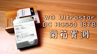 JC雙12手滑買了一顆的18TB硬碟，WD Ultrastar DC HC550 18TB開箱 [upl. by Roye]