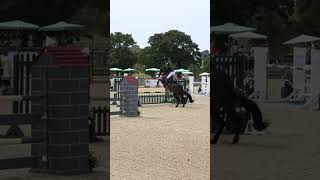 Us at hickstead qualifying for the main ring bellarose horsesaremylife competition horses [upl. by Gerfen]