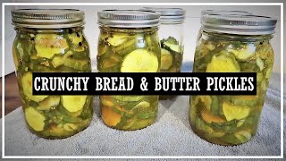 Canning Bread and Butter Pickles [upl. by Eninnej]