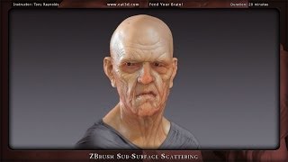 ZBrush SubSurface Scattering [upl. by Concordia710]