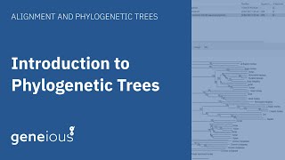 Introduction to Phylogenetic Trees in Geneious Prime [upl. by Gisella]