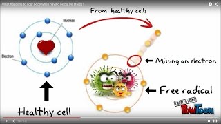 What happens to your body when having oxidative stress [upl. by Atem]