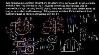 Quantitative Genetics  How to find number of genes controlling the trait [upl. by Anaet]