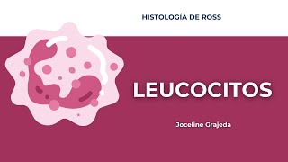 Leucocitos y diapédesis  Histología de Ross [upl. by Odicalp]