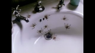 Arachnophobia 1990  Trailer in 1080p [upl. by Madlin]