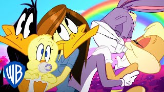 Looney Tunes  Couples Goals  WB Kids [upl. by Nnayd]