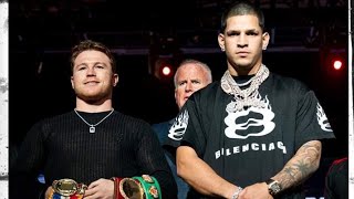 CANELO VS BERLANGA LARA VS GARCIA PLANT VS MCCUMBY AND MORE BOXING TALK [upl. by Aneekal]