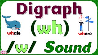 DIGRAPH wh  READING Words amp Sentences with w Sound Spelt as WH  Liy Learns Tutorial [upl. by Mauri914]