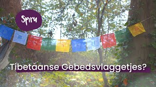 13 Wat zijn Tibetaanse Gebedsvlaggetjes  Gebedsvlaggetjes [upl. by Stavros553]