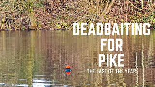 PIKE FISHING WITH DEADBAITS [upl. by Hairom]