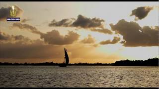 Beach sunset dhow cruise  Sailing through the mangrove in Lamu Island Kenya  Award Safaris [upl. by Vasili136]