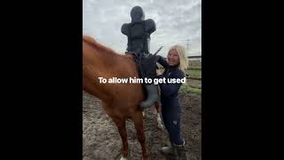 Breaking a wild horse help catching a horse and down on the farm [upl. by Hedwiga]